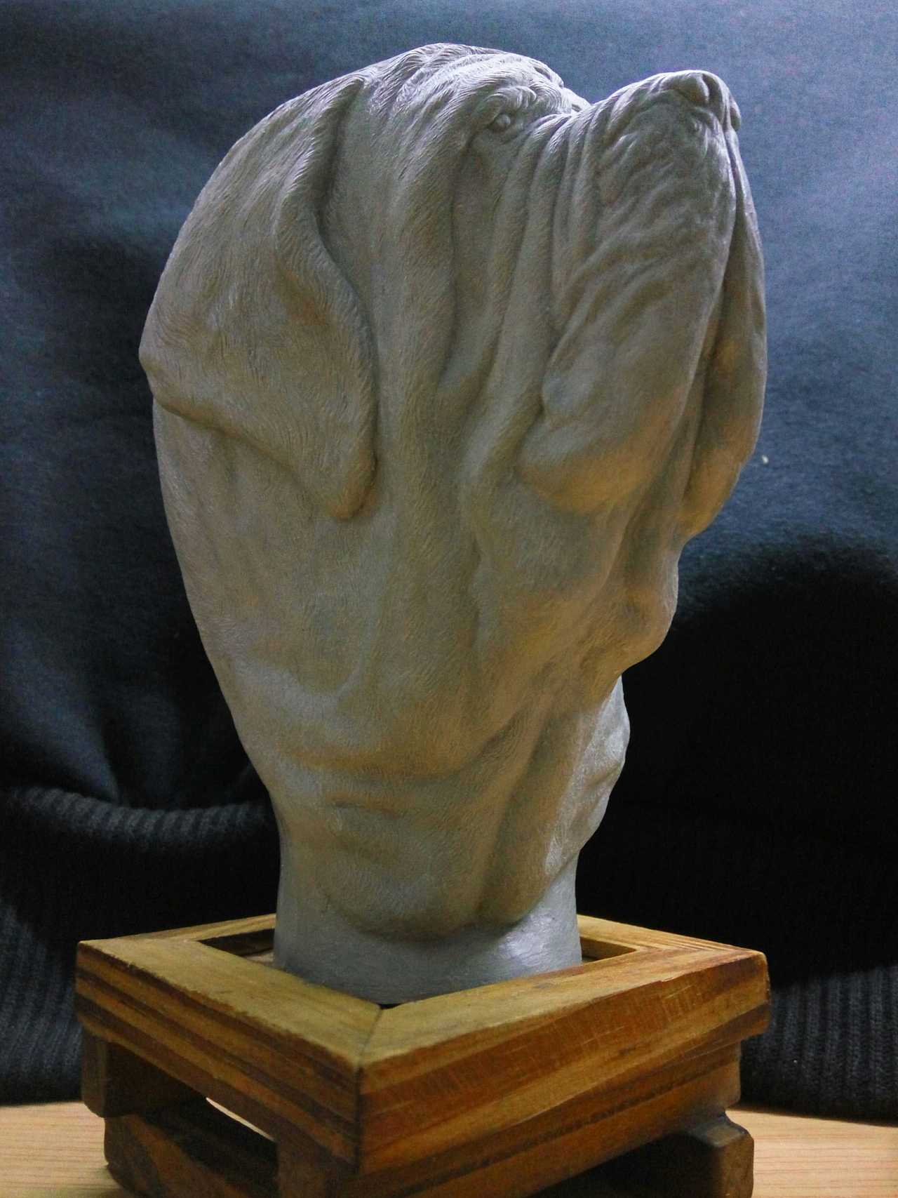 做了一只纽波利顿獒犬