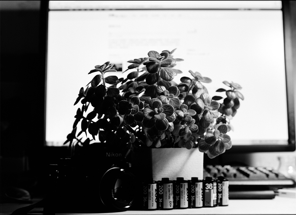 一组胶片。（图ZODU1NDE2NA==） - 风光摄影 - 站酷设计师颜老蔓原创素材 - 站酷ZCOOL