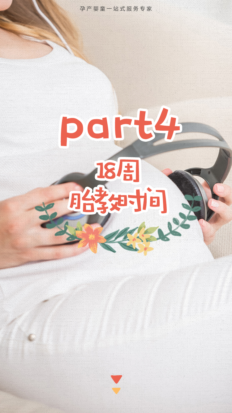 周刊模板