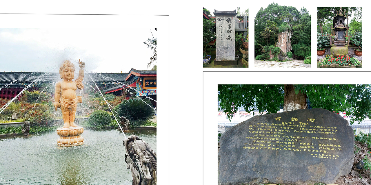 毕业去四川考察回来做的画册