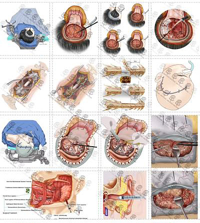 医学插画论文配图杂志sci封面设计科研绘图学术动画TOC（图ZMjIxOTQyODM2） - 建筑/空间 - 站酷设计师邦图文化原创素材 - 站酷ZCOOL