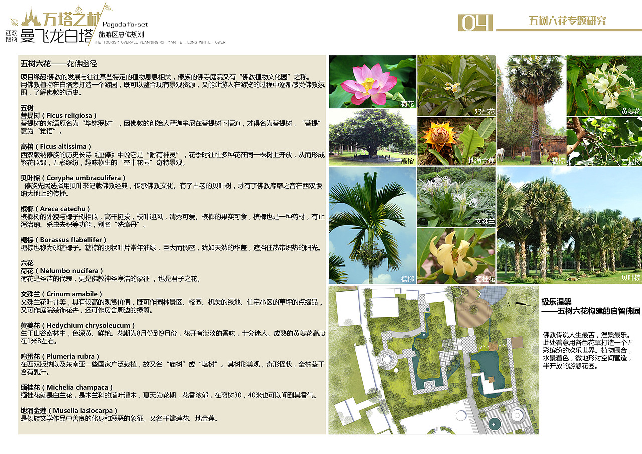 旅游规划-景观设计作品（大学毕业设计）（图ZOTkwNTkwMjA=） - 景观设计 - 站酷设计师黄德勋原创素材 - 站酷ZCOOL