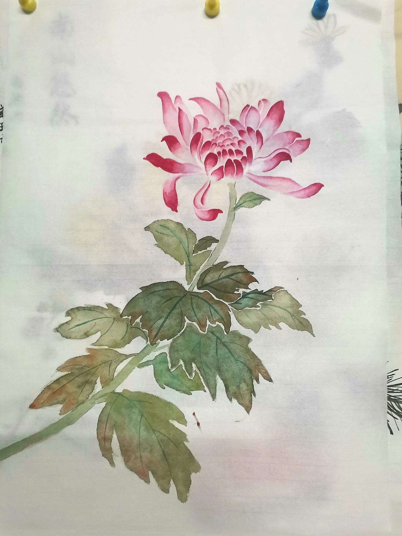 国画没骨画菊花