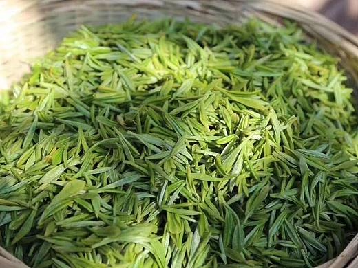 茶叶制作工艺图 制茶流程 高清图片