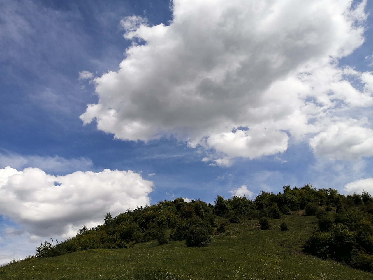 神奇的大自然的产物