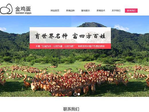 企业站联系我们