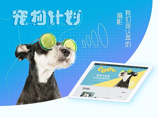 寵物計(jì)劃官網(wǎng)（個(gè)人主頁(yè)-ZMzU1OTEyNzI=） - 企業(yè)官網(wǎng) - 站酷設(shè)計(jì)師yiyi_wang原創(chuàng)素材 - 站酷ZCOOL