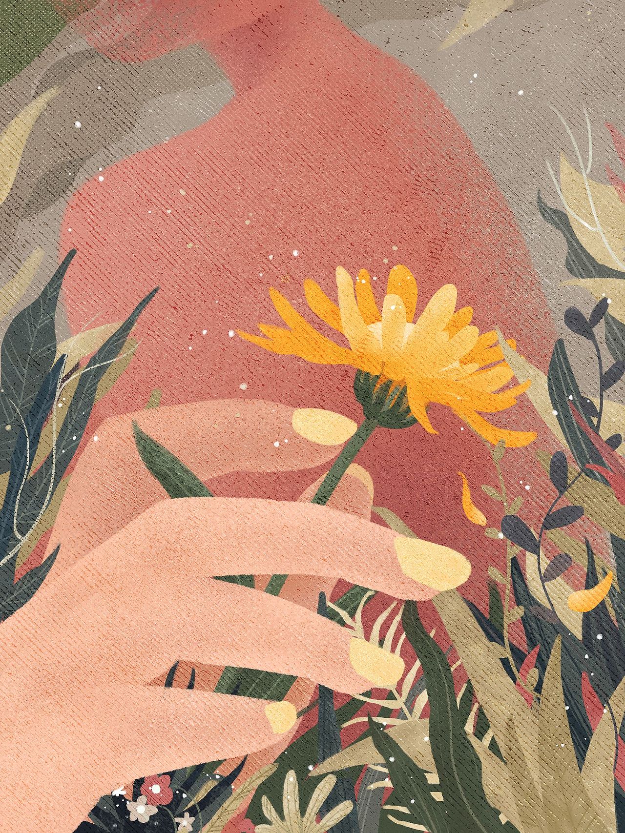 金盏花，樱花系列插画（图ZMjMxMjI0OTYw） - 商业插画 - 站酷设计师BX猪兔儿原创素材 - 站酷ZCOOL