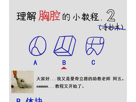 胸腔教程—2