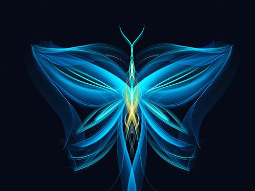 【生物系列】插画作品-绘画软件procreate