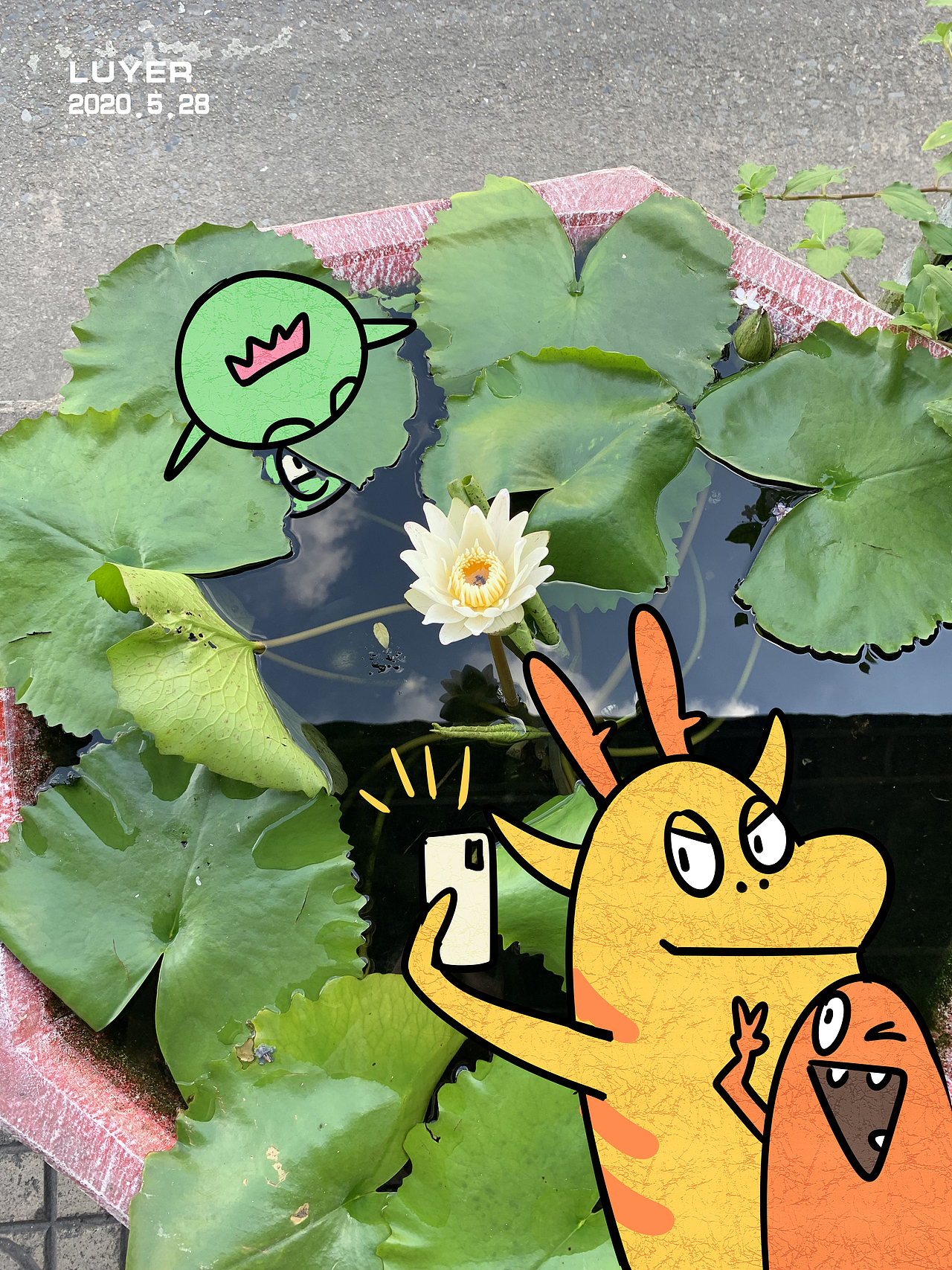 五月照片与插画结合（图ZMjEwOTUyMzg4） - 艺术插画 - 站酷设计师鹭野luyer原创素材 - 站酷ZCOOL