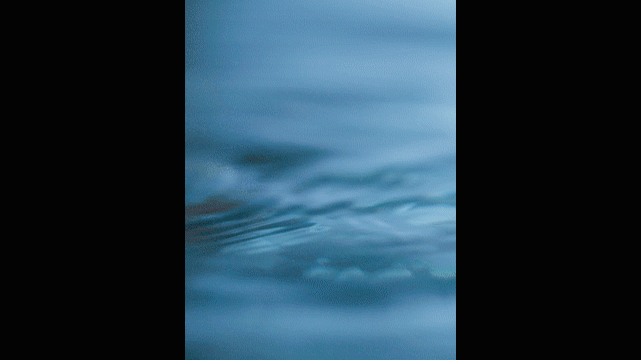 电商视频 | 安吉尔净水花洒 ✖ foodography（图ZMjU0MDM2NTE2） - 短片 - 站酷设计师Foodography原创素材 - 站酷ZCOOL