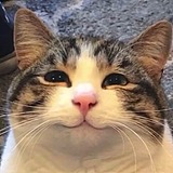 596ST的头像
