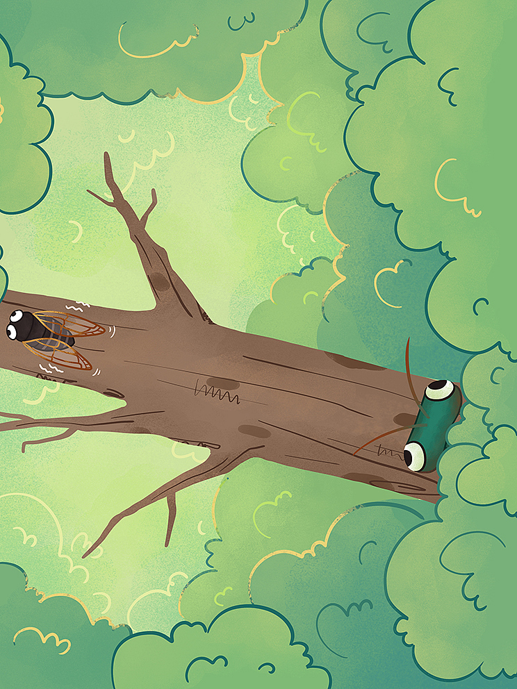 螳螂捕蝉黄雀在后绘本