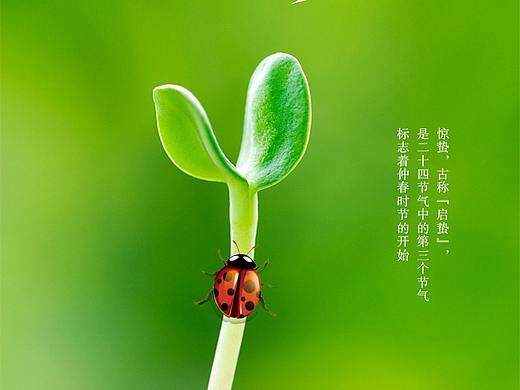 旅游