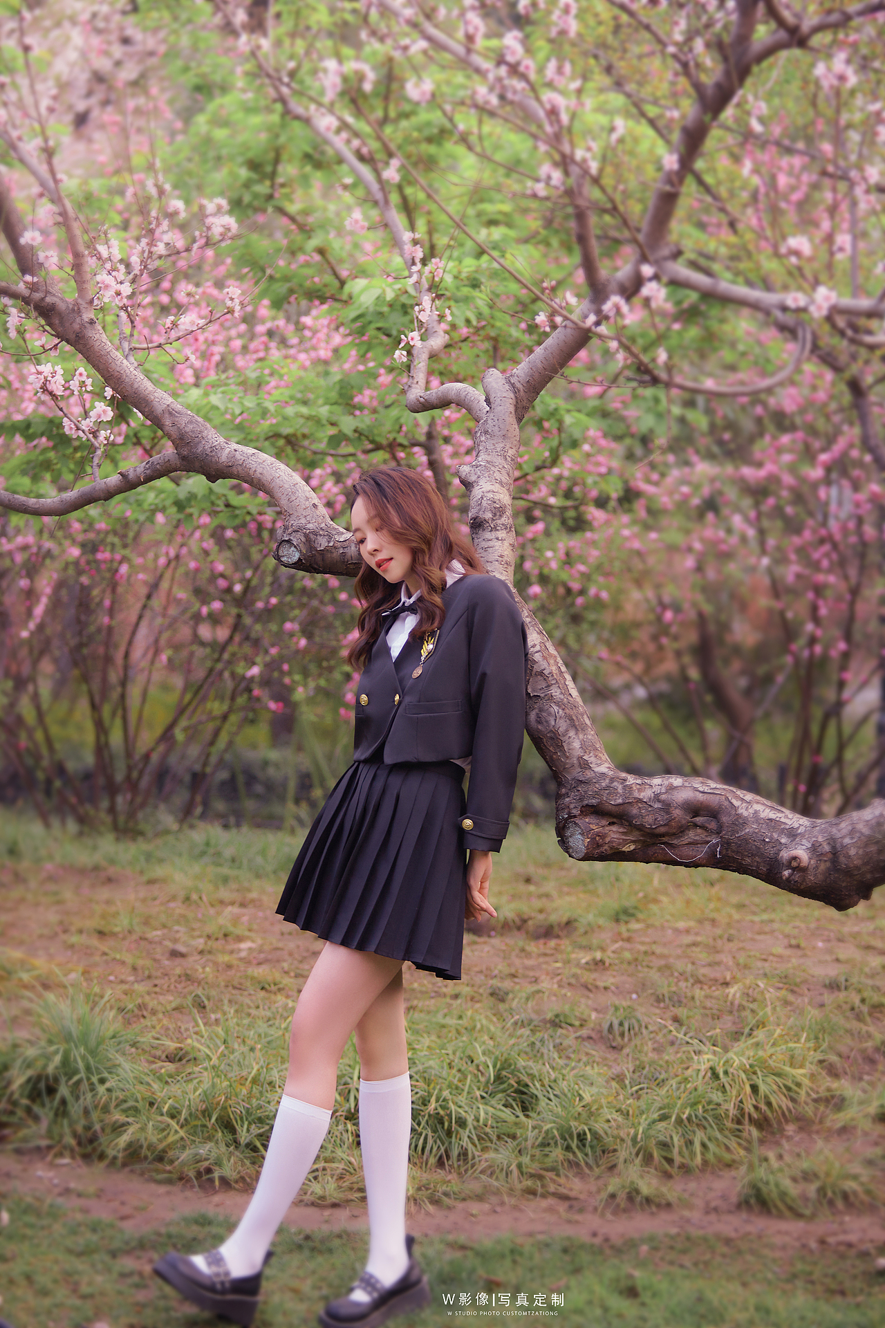樱花季🌸少女写真（图ZMjk0NjQyMzYw） - 人像摄影 - 站酷设计师W影像工作室原创素材 - 站酷ZCOOL