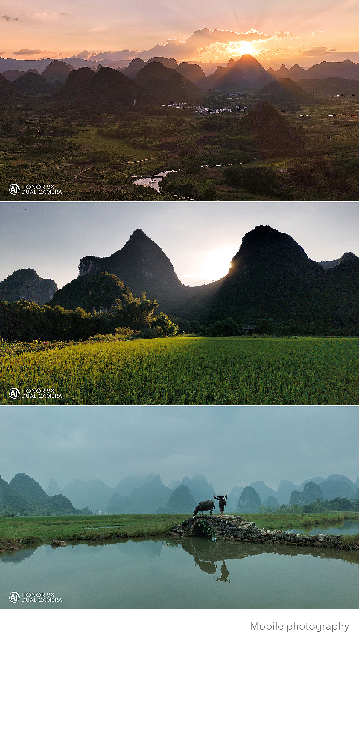 手机摄影作品,你们也可以的。