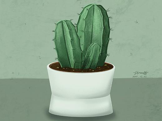 插画 - 仙人球