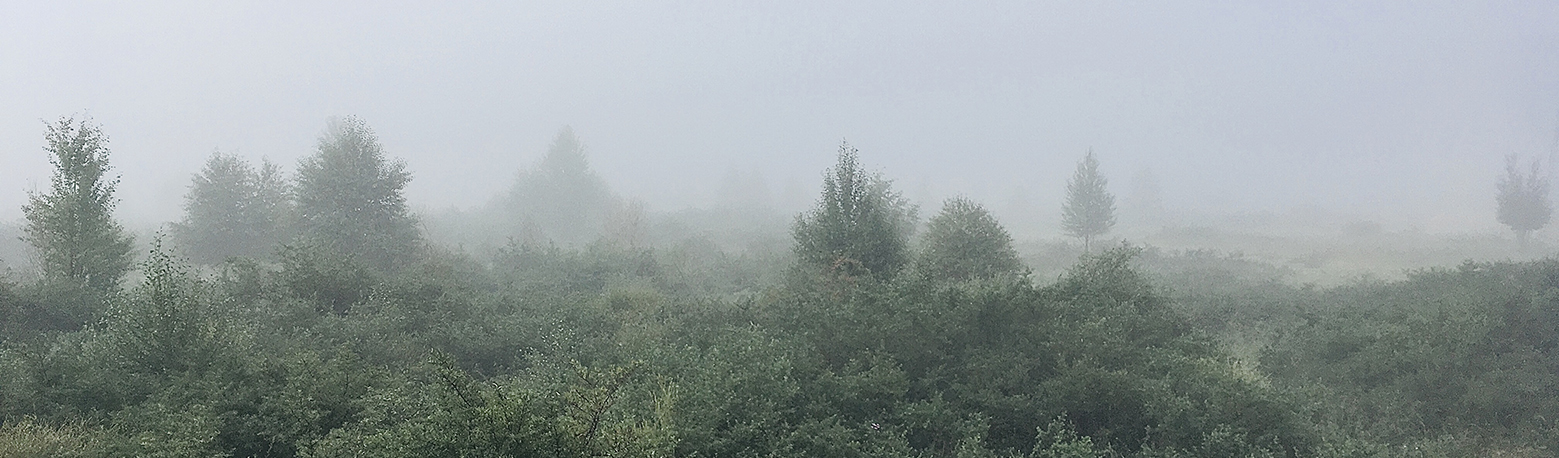 乌牙wooya的个人主页（封面预览） - 主页封面设置 - 站酷设计师乌牙wooya原创素材 - 站酷ZCOOL