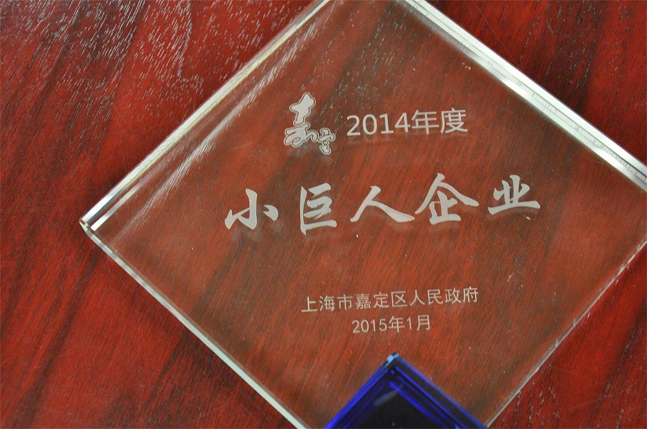 新东锦,再创新辉煌