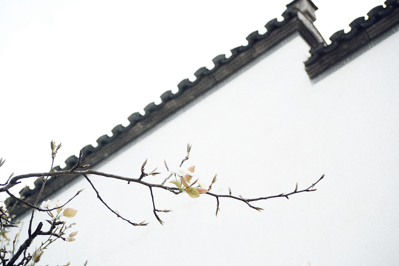 植物与古典建筑