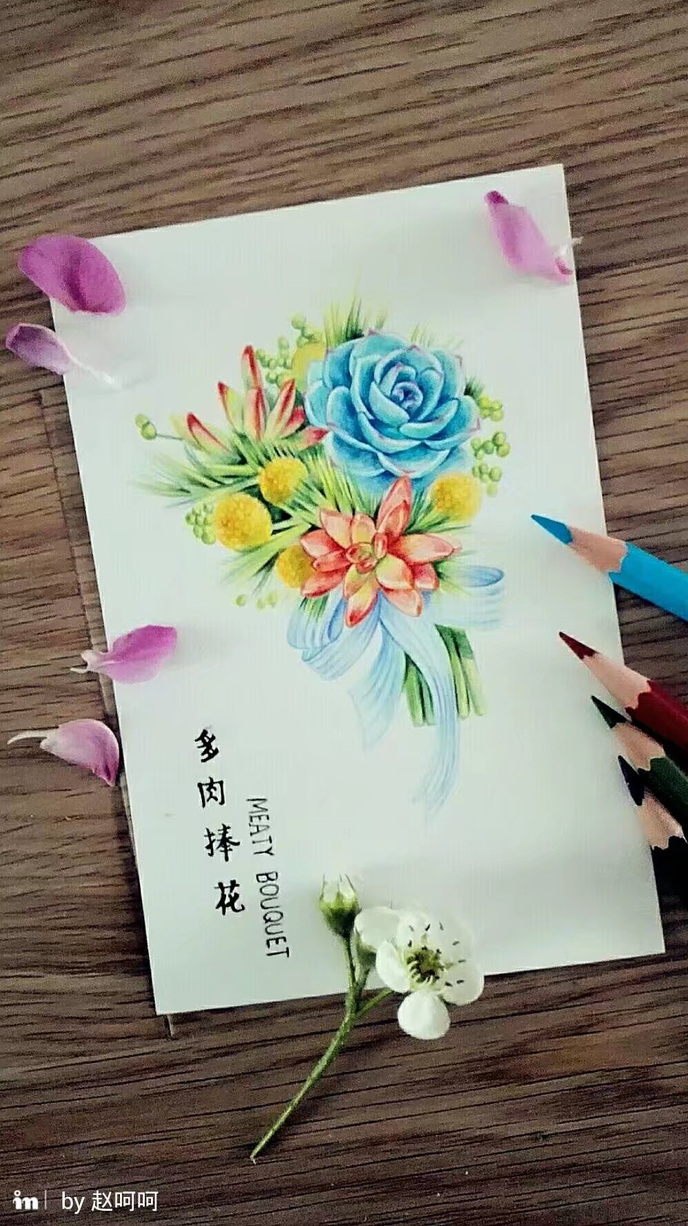 手绘多肉明信片（图ZODg5NDIyNjg=） - 艺术插画 - 站酷设计师赵呵呵zz原创素材 - 站酷ZCOOL