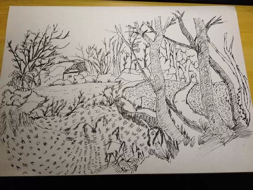 2014《男鹿和雄画集》随笔（图ZMjM2NTAyNDA=） - 创作习作 - 站酷设计师zystoo原创素材 - 站酷ZCOOL