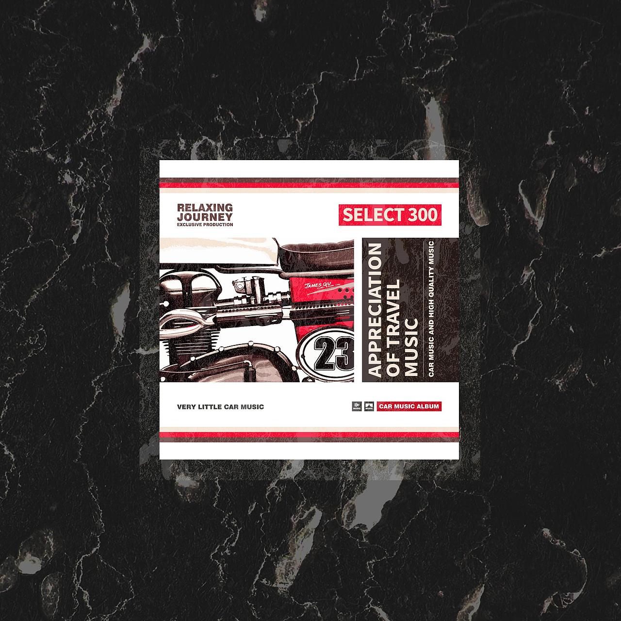 车载音乐CD SELECT 300（图ZMjAwMTY0NDQw） - 包装 - 站酷设计师古克力原创素材 - 站酷ZCOOL