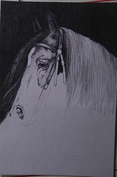 马·生而忧伤（图ZMjMxOTU0NTA0） - 绘画 - 站酷设计师二熊熊原创素材 - 站酷ZCOOL