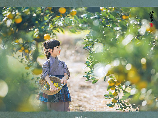 采橘姑娘