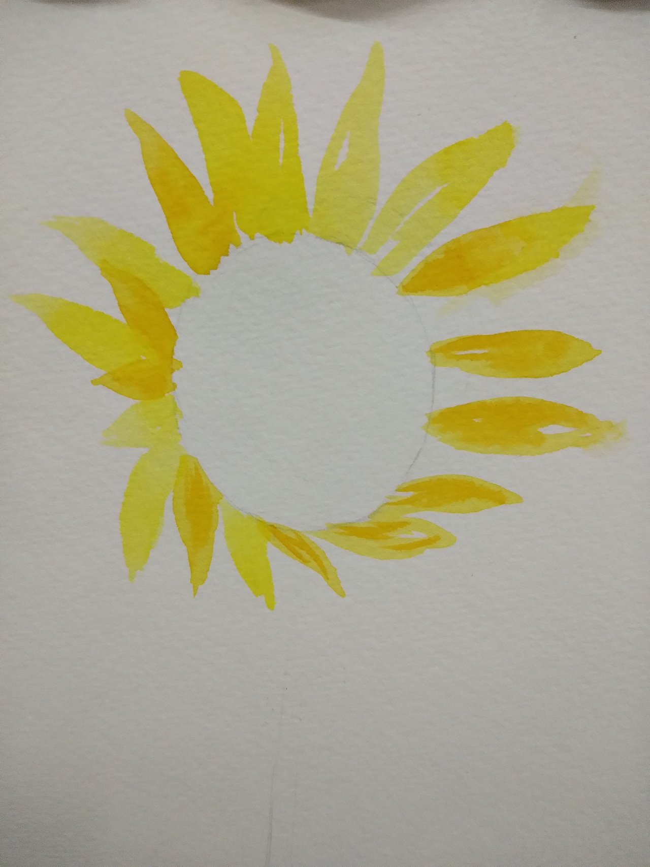 【水彩】向日葵:sunflower