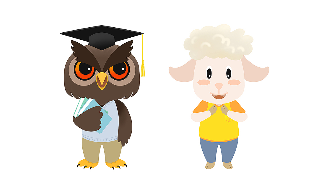 猫头鹰老师  绵羊