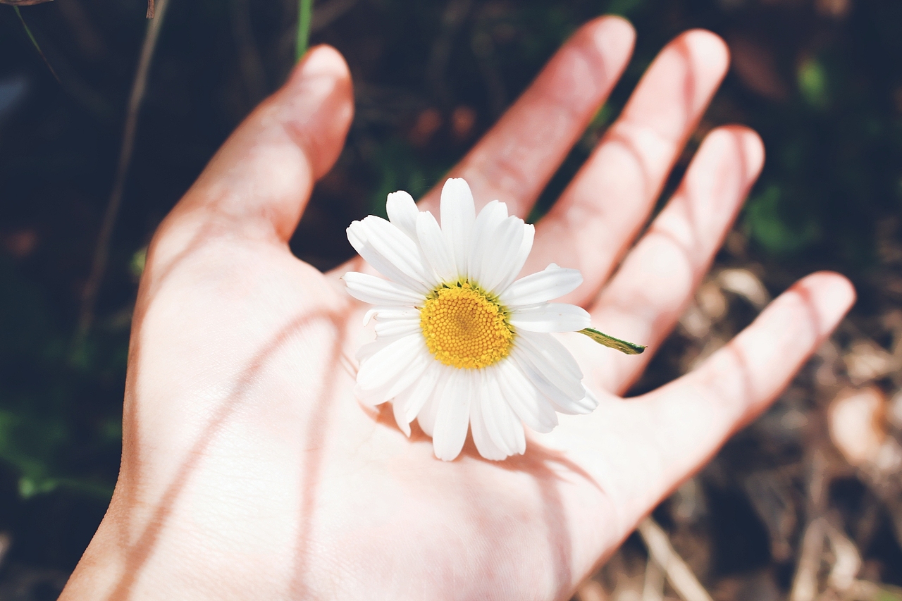 夏花篇（图ZMTE0NTI1NTYw） - 风光摄影 - 站酷设计师梵的暖原创素材 - 站酷ZCOOL