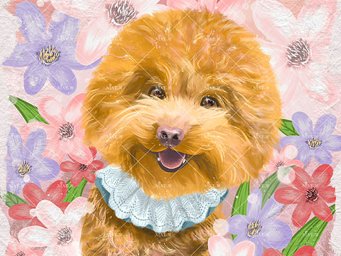 超哇塞的宠物系列插画