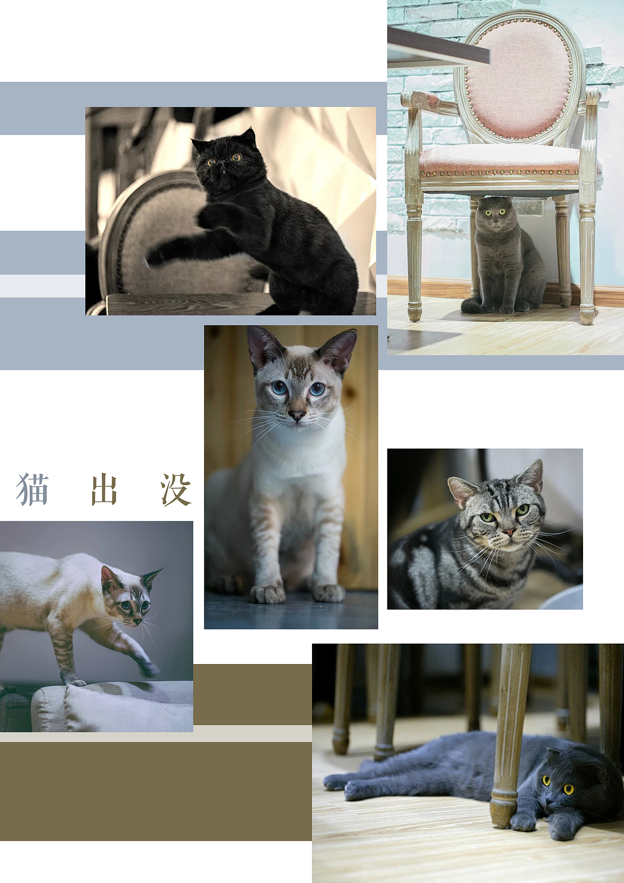 ANYJ 毕业是你的谎言