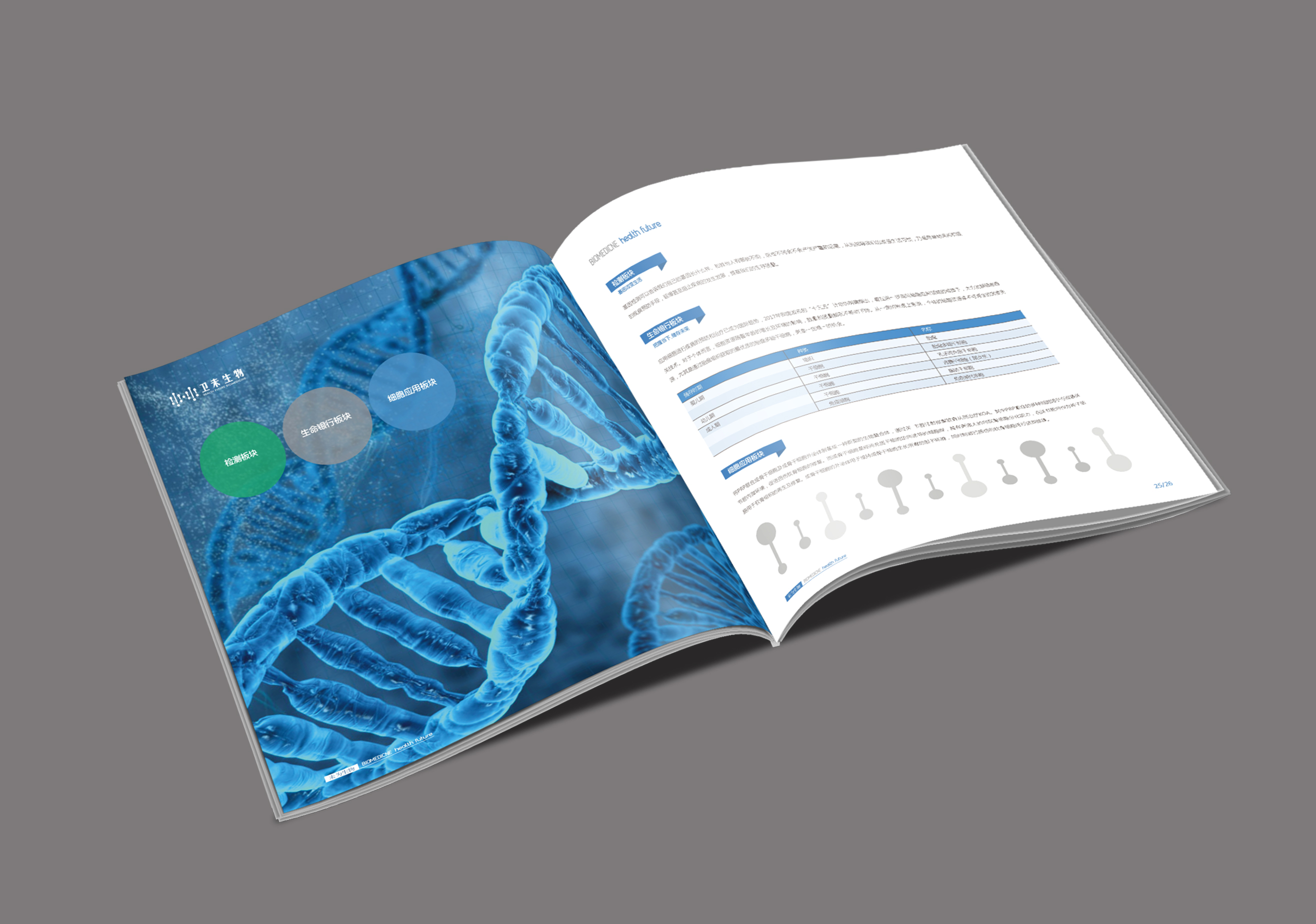 分享收藏医药生物科技对折设计税务财务画册设计能源金融画册设计金融