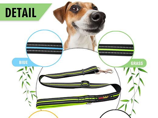 亚马逊 主图副图 狗带产品设计（个人主页-ZMzc4NzMxMDA=） - 宣传物料 - 站酷设计师林子不会飞原创素材 - 站酷ZCOOL