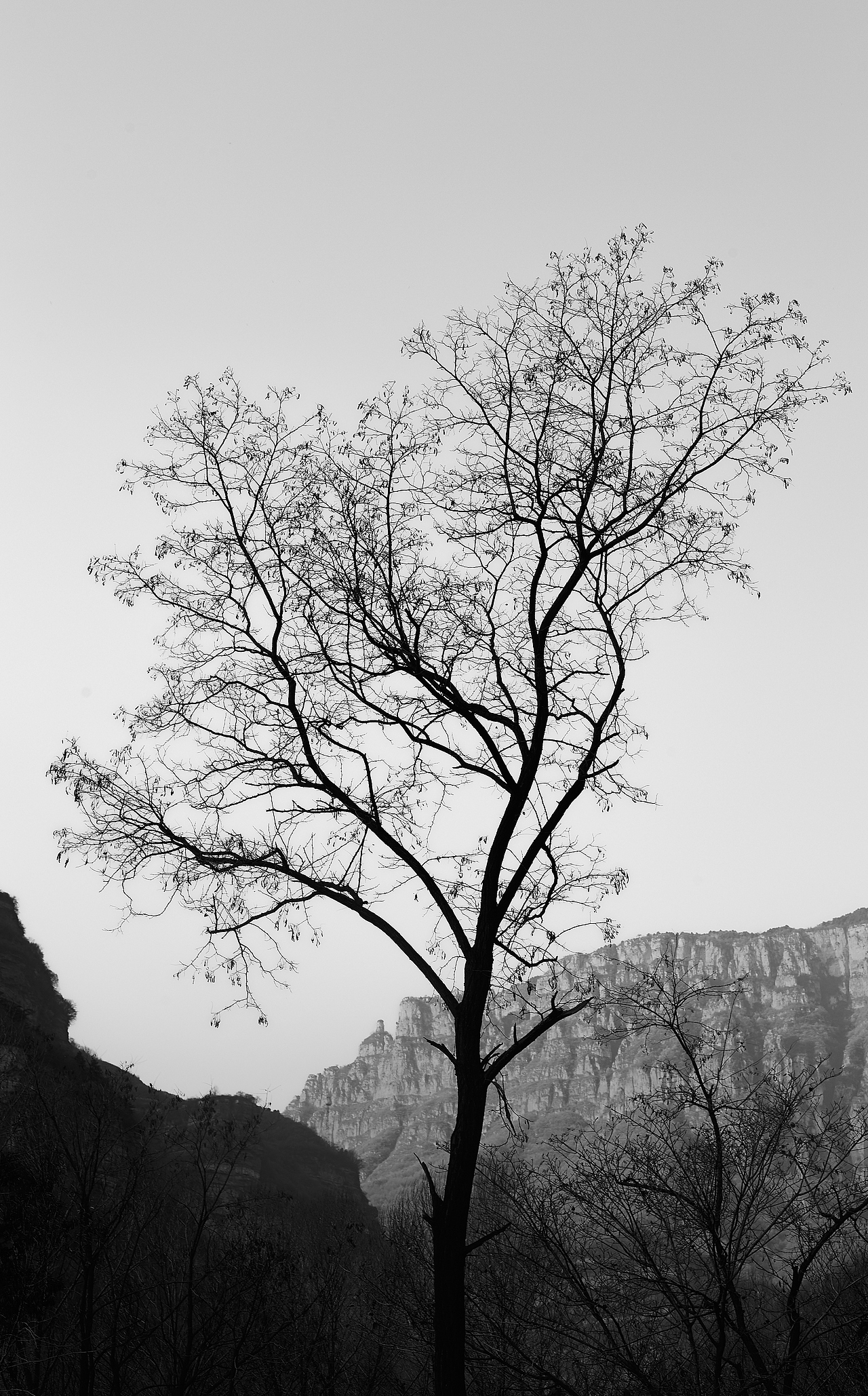 黑白风摄影作品- 石板岩（图ZMjMyNDUwNDY4） - 风光摄影 - 站酷设计师酒公子不喜酒原创素材 - 站酷ZCOOL