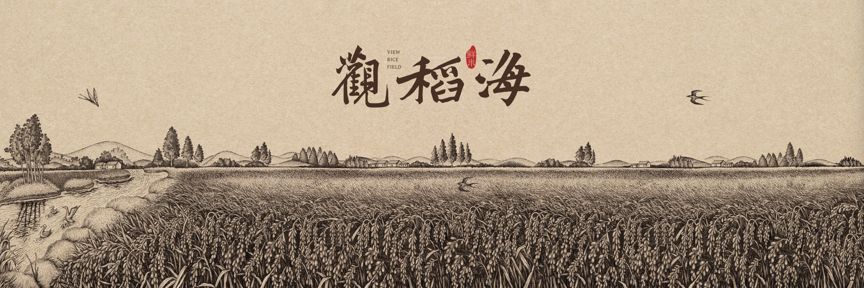 华稀大米插画设计