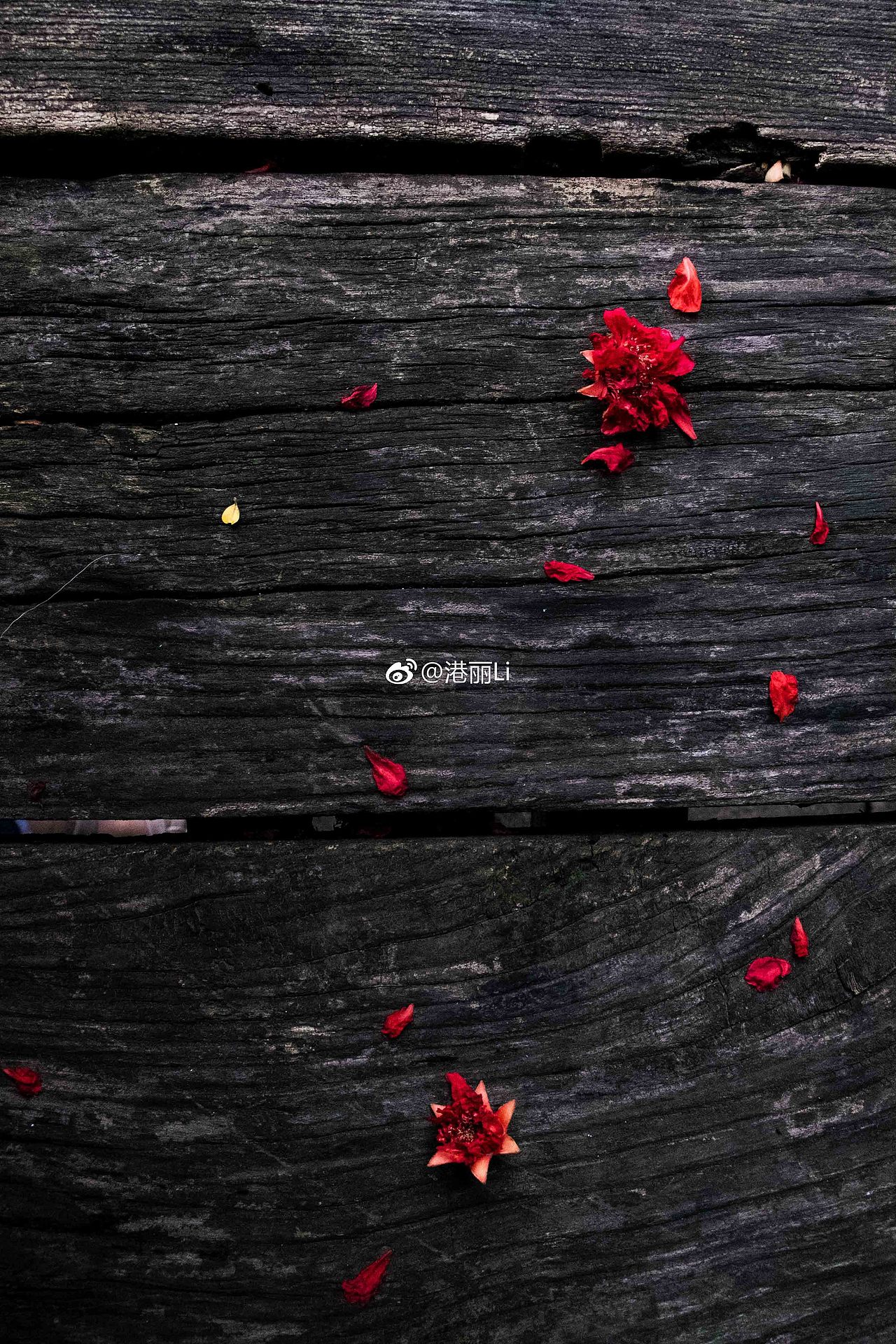 《“光”与“影”》