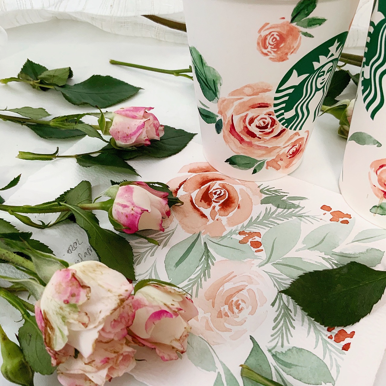 星巴克杯子插画设计