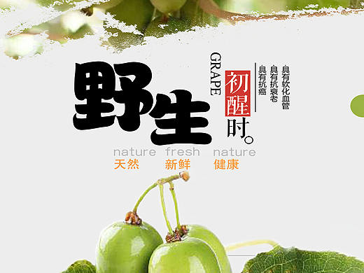 水果海报
