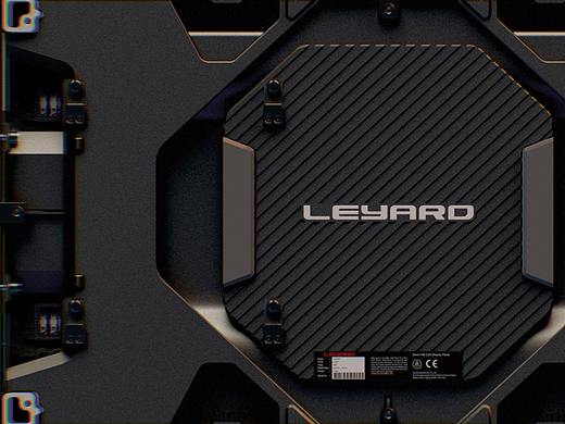 LEYARD-TS