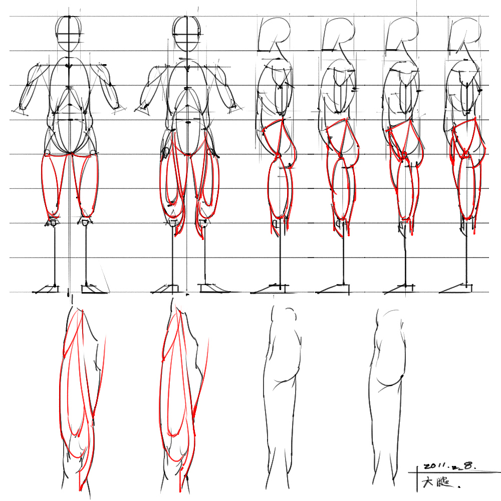 「素材」分享一波绘画专用人体解剖素材 part 04