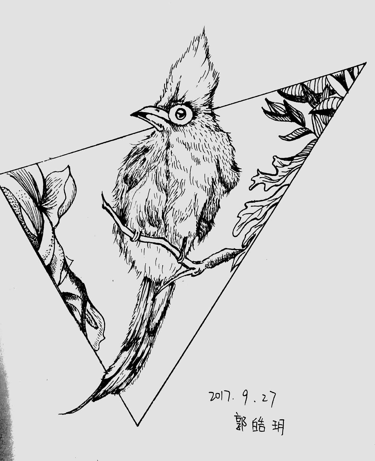 鸟与花草【线描】