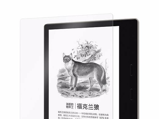 Kindle Oasis 主机及钢化膜效果图