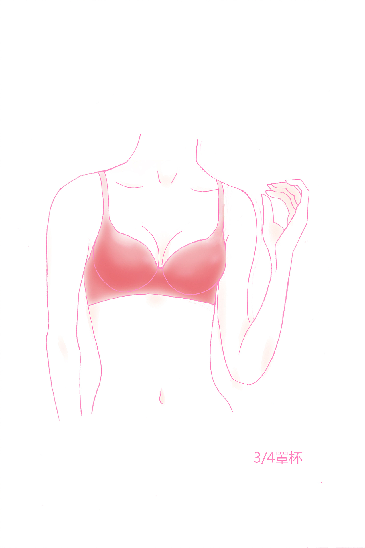 内衣科普文章插图若干（图ZMjI0MDU2NDEy） - 艺术插画 - 站酷设计师解渴果原创素材 - 站酷ZCOOL