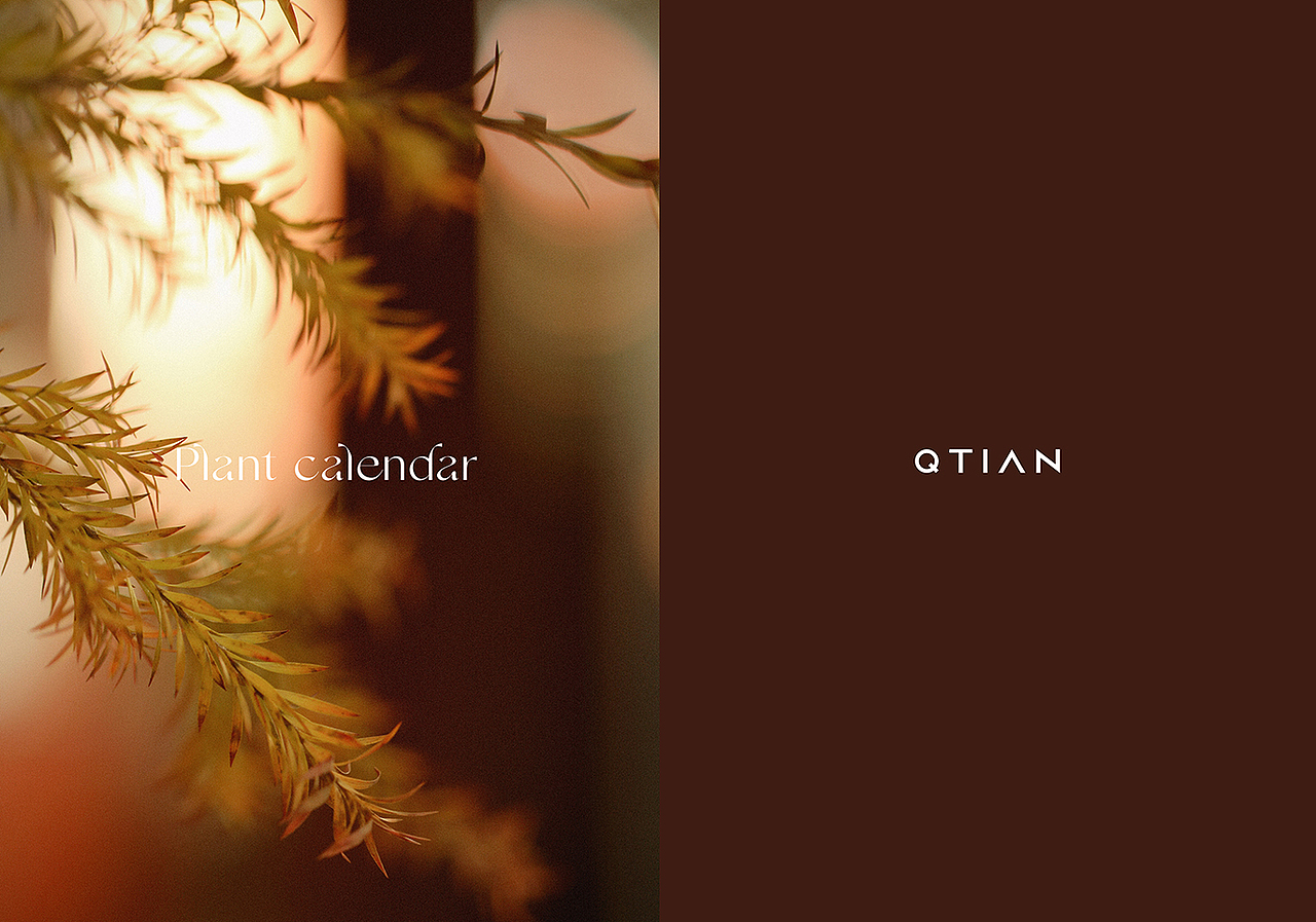 年前（图ZMjg3NzI5MzI0） - 产品摄影 - 站酷设计师萩田纪画原创素材 - 站酷ZCOOL