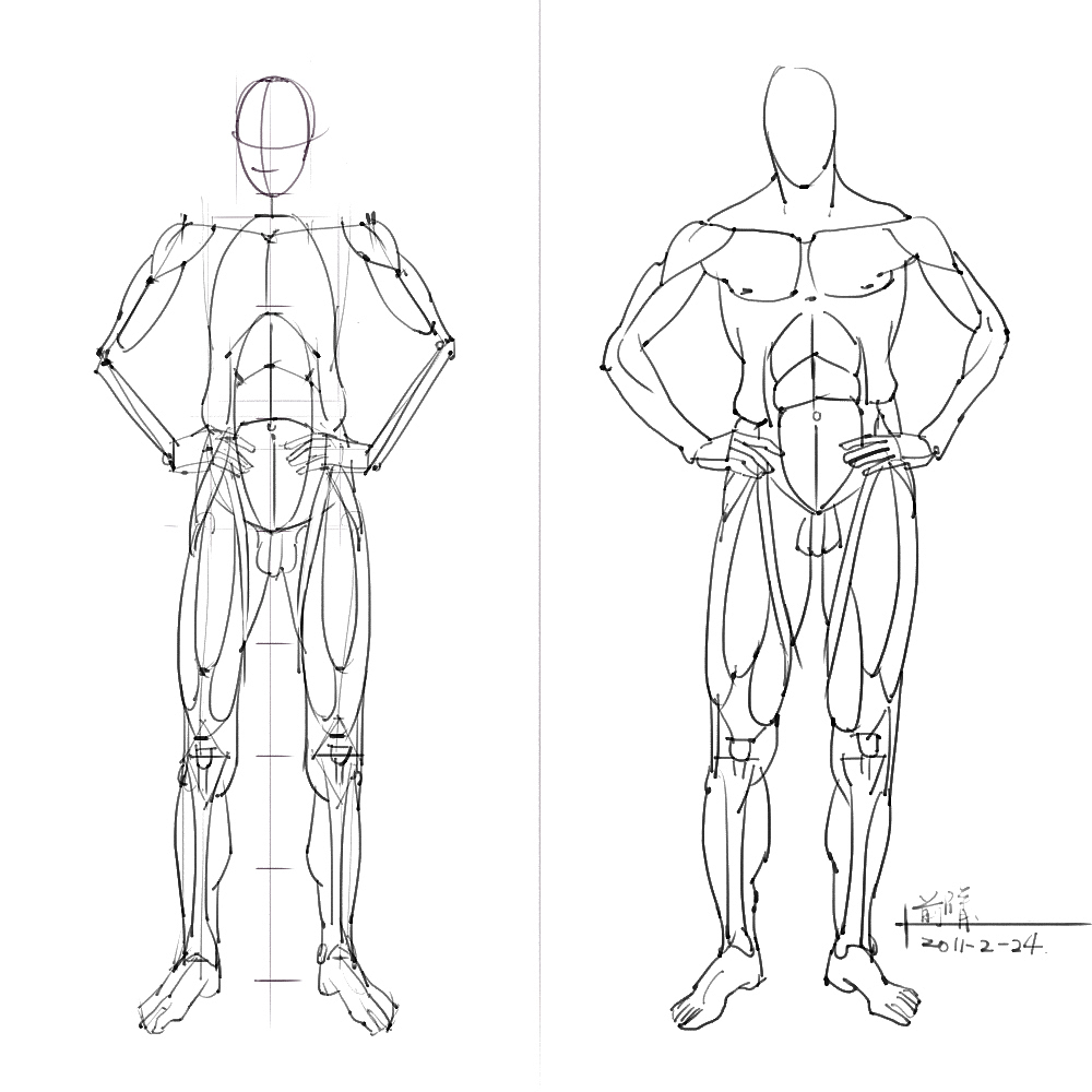 「素材」分享一波绘画专用人体解剖素材 part 05