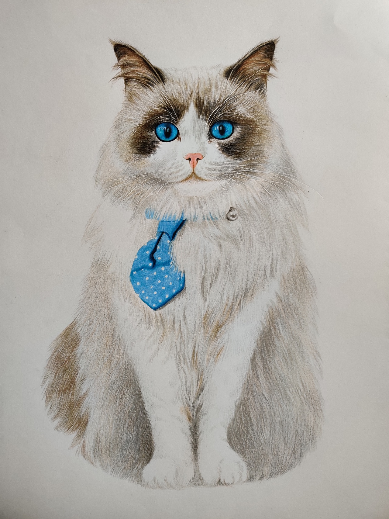 原创作品纯艺术绘画猫彩铅手绘写实独行独行插画-国风雅致304彩铅静物